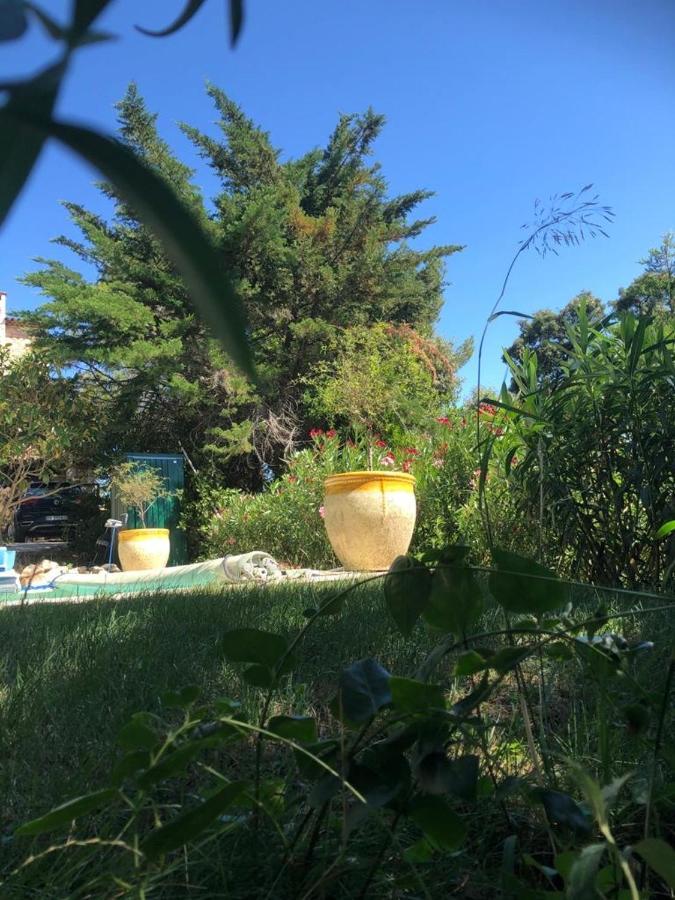 B&B Oasis Des Lavandes - Chambre Coqueliot Villeneuve-lès-Avignon Dış mekan fotoğraf