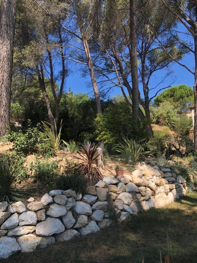 B&B Oasis Des Lavandes - Chambre Coqueliot Villeneuve-lès-Avignon Dış mekan fotoğraf